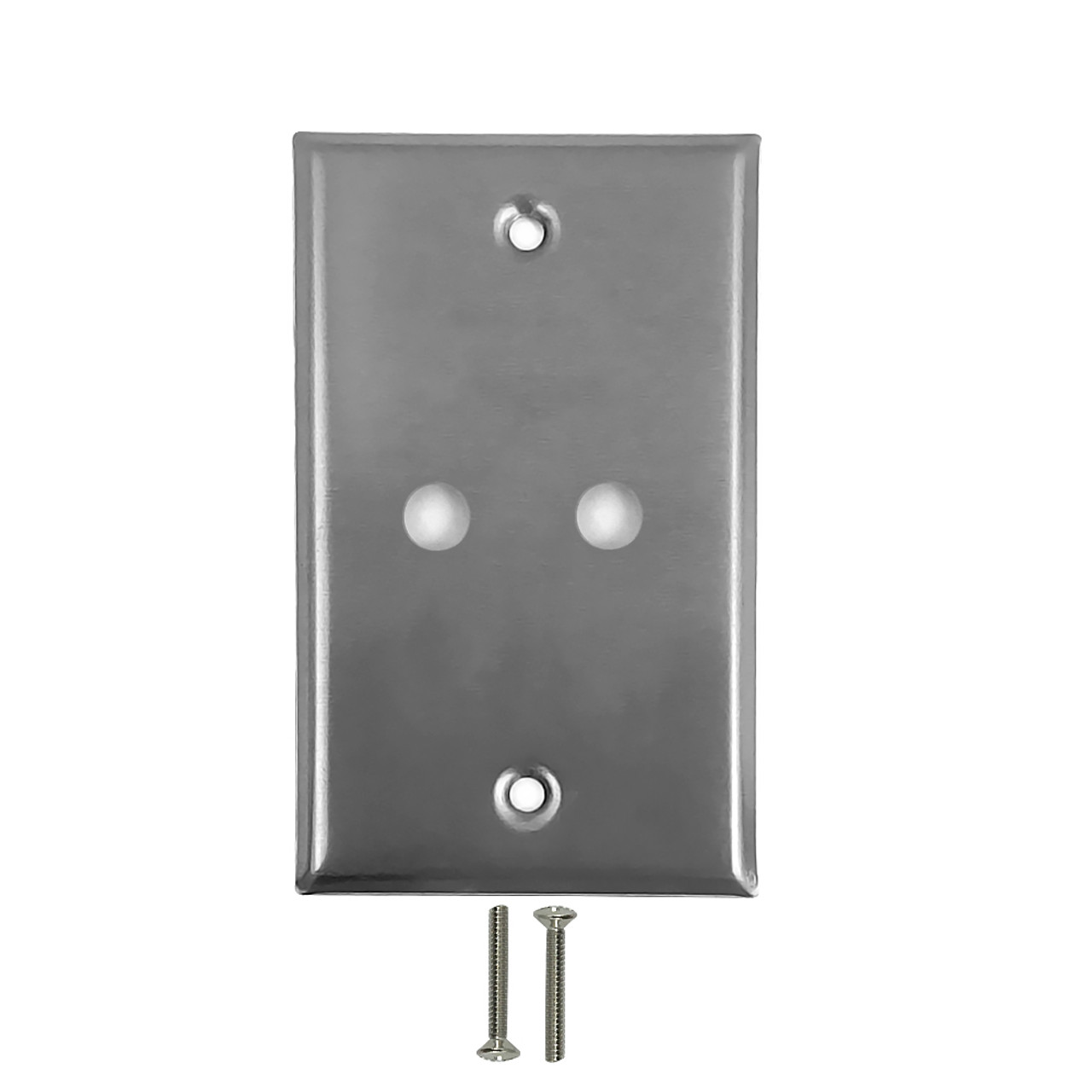 Wall Plate 2 Hole Stainless Steel